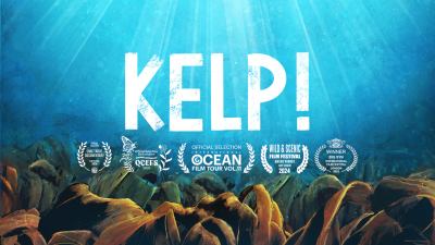 KELP!